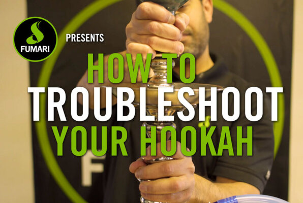 WIE MAN DEINE SHIHSA PROBLEME BEHEBT - 